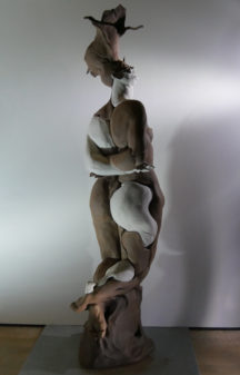 Meduse